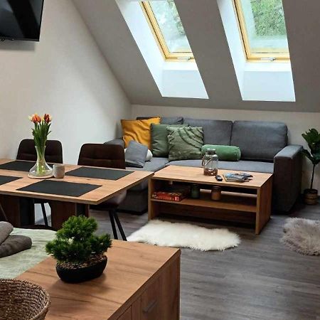 Apartmany Rak Lipno Черна-в-Пошумаві Екстер'єр фото
